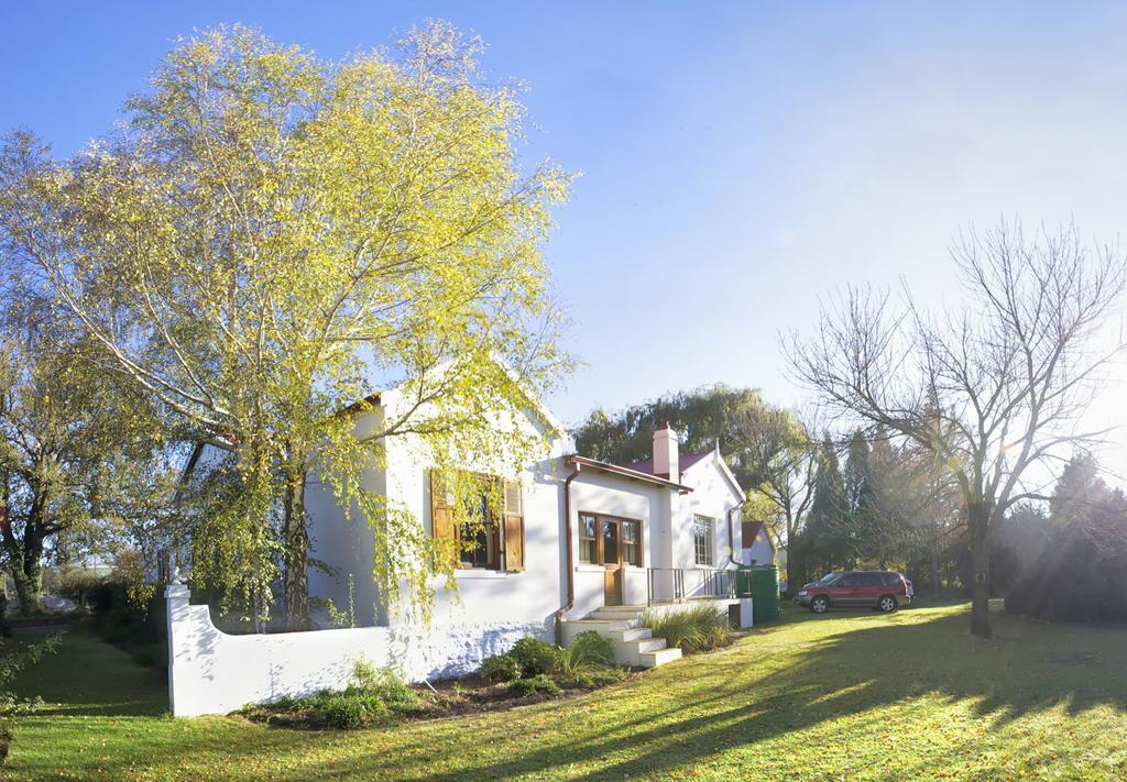 Toad Hall Guest House Wakkerstroom Dış mekan fotoğraf