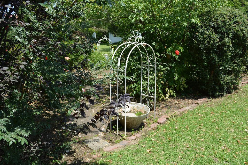 Toad Hall Guest House Wakkerstroom Dış mekan fotoğraf